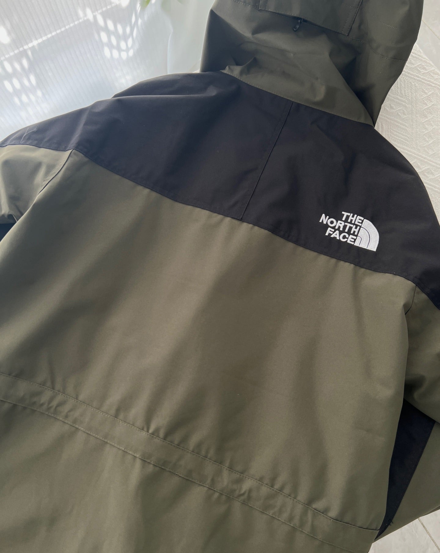 THE NORTH FACE MOUNTAIN LIGHT JACKET GORE-TEX 北臉防水透氣夾克
