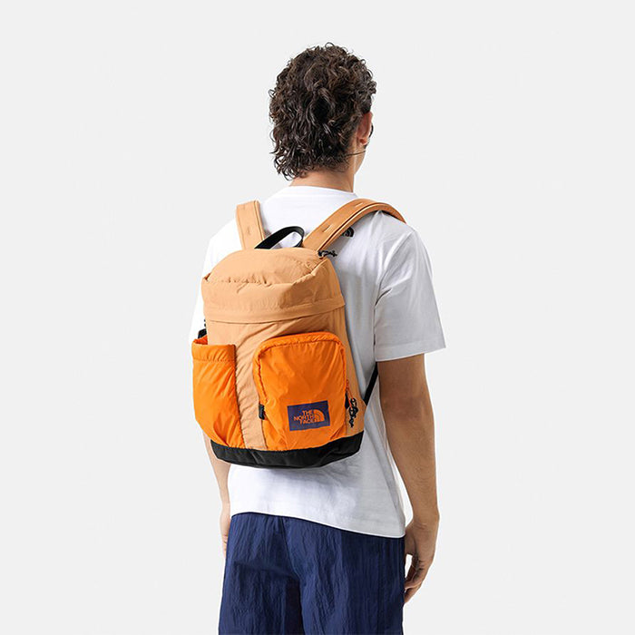 THE NORTH FACE 18L DAYPACK 北臉多功能後背包