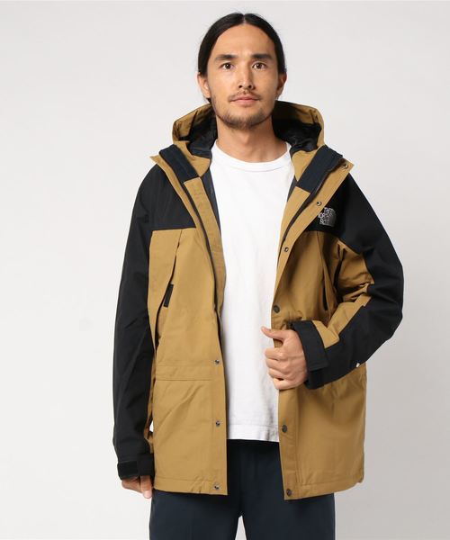 THE NORTH FACE MOUNTAIN LIGHT JACKET GORE-TEX 北臉防水透氣夾克