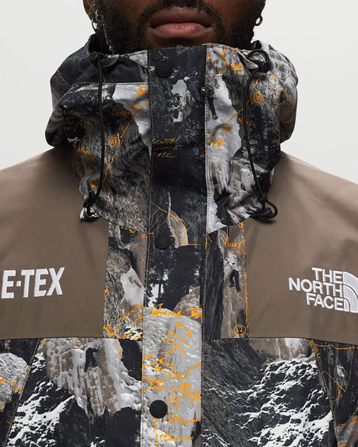 THE NORTH FACE GORE-TEX MOUNTAIN JACKET 北臉防潑水機能外套