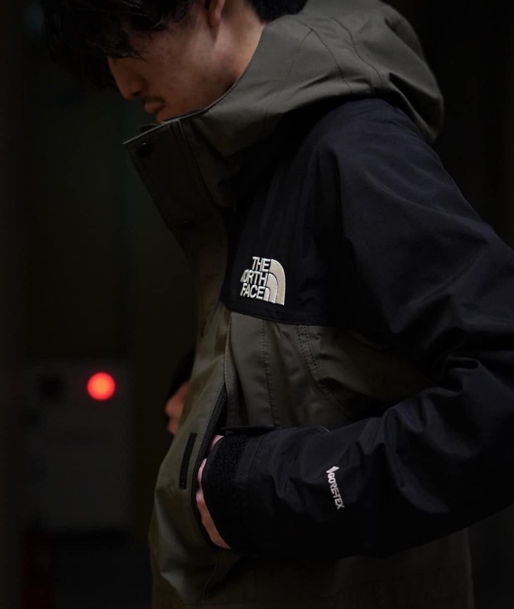 THE NORTH FACE MOUNTAIN LIGHT JACKET GORE-TEX 北臉防水透氣夾克
