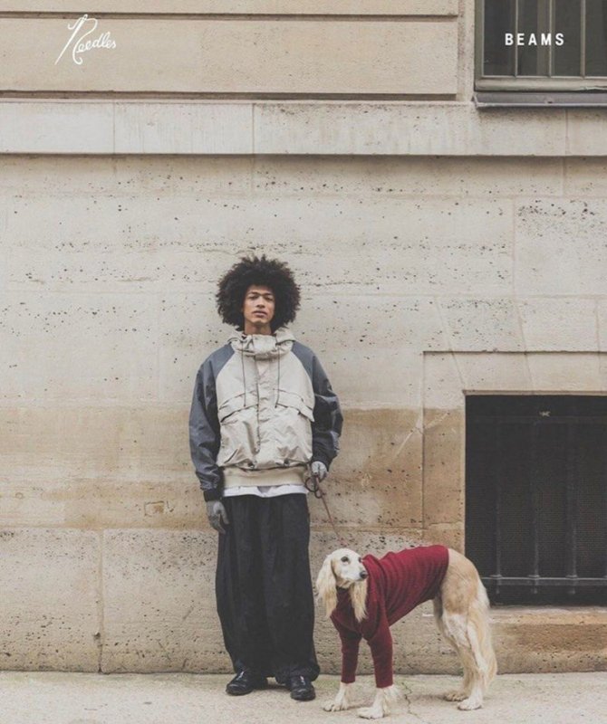 NEEDLES x BEAMS H.D PANT NYLON 聯名尼龍長褲 - VANASH