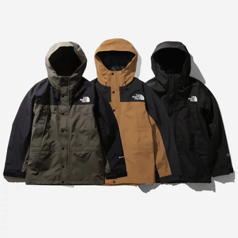 THE NORTH FACE MOUNTAIN LIGHT JACKET GORE-TEX 北臉防水透氣夾克