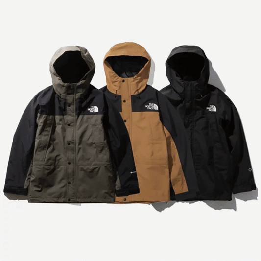 THE NORTH FACE MOUNTAIN LIGHT JACKET GORE-TEX 北臉防水透氣夾克