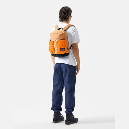 THE NORTH FACE 18L DAYPACK 北臉多功能後背包